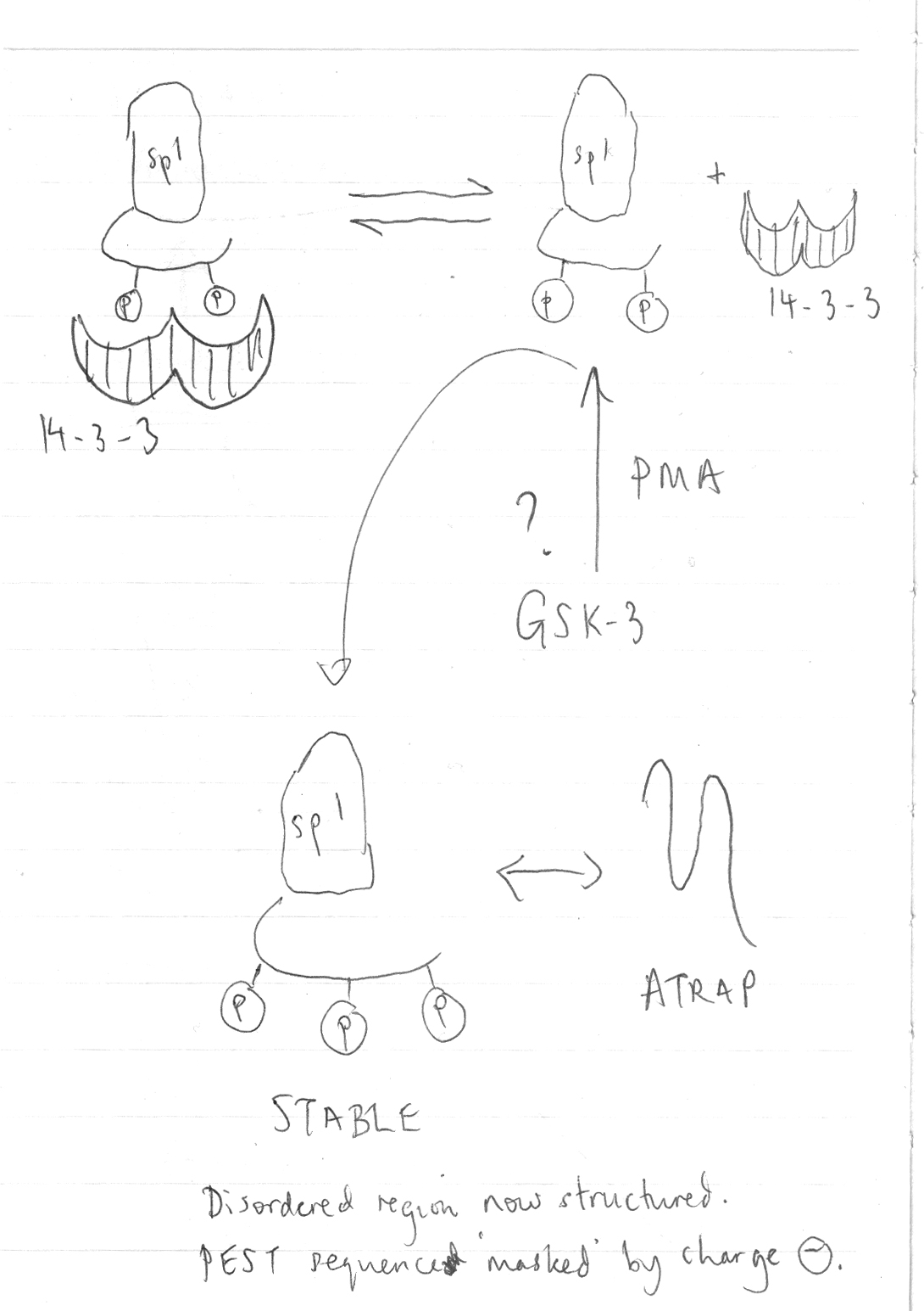 1090x1545 Thinking Through Drawing Kathryn Garner