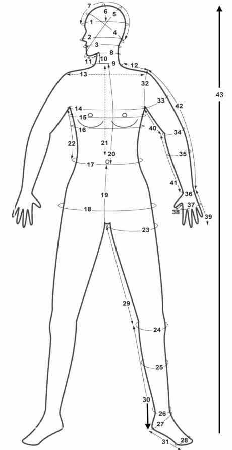 Fur Coat Technical Drawing at GetDrawings | Free download