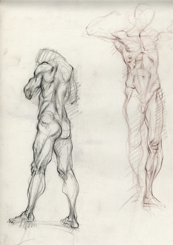 567x800 Drawing Don Gale