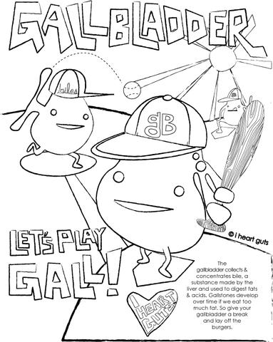 383x480 Gallbladder Coloring Page I Heart Guts