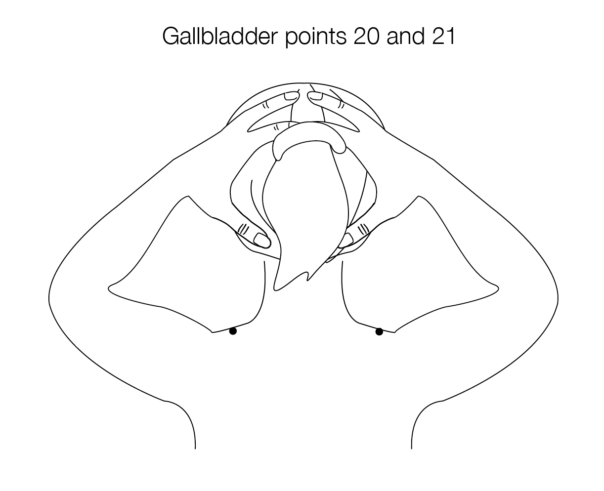 1222x994 Hanako Therapies Perfect Oil For The Gallbladder Meridian