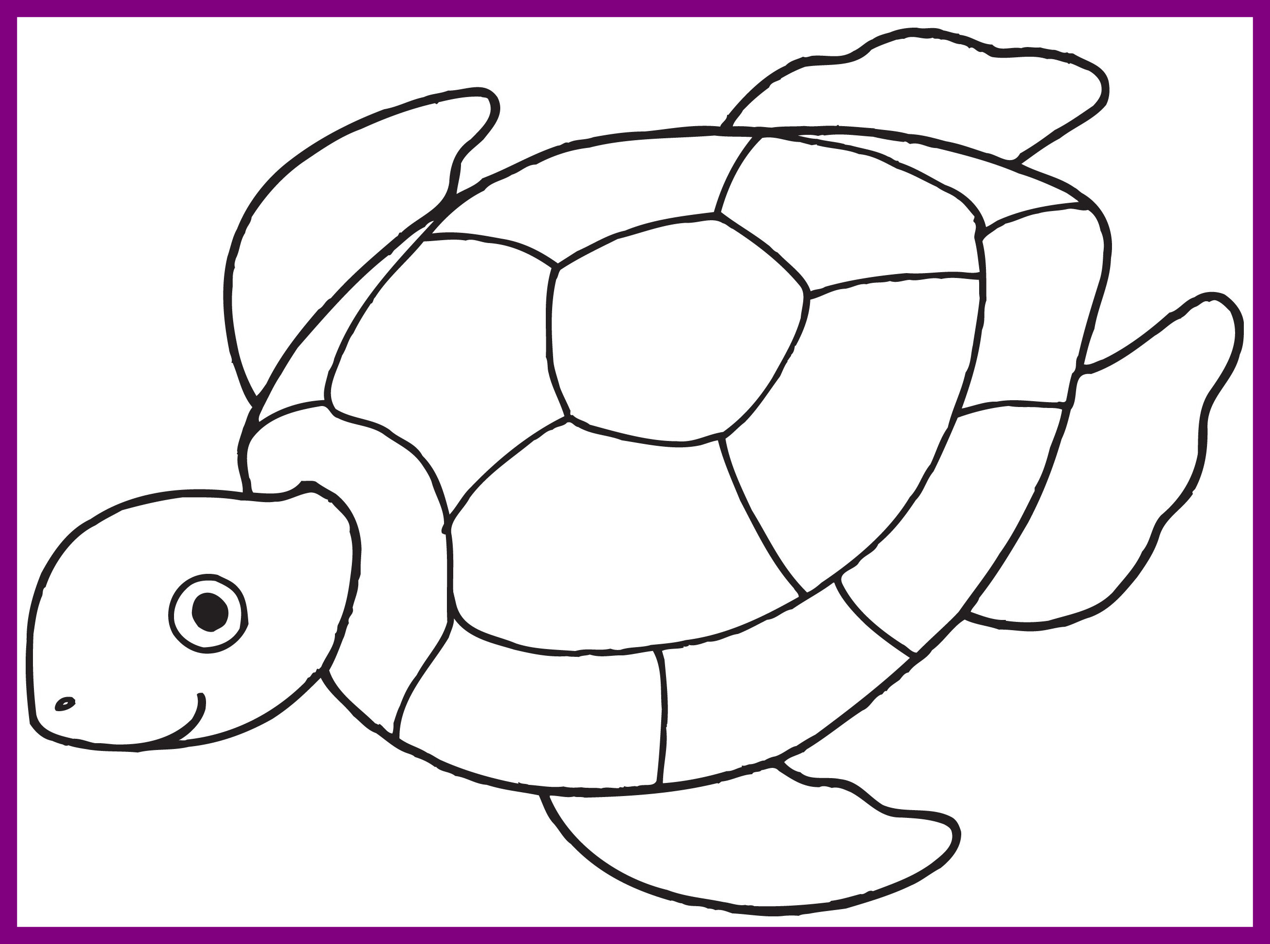 2620x1946 Astonishing Printable Turtle Coloring Pages For Kids Of Drawing