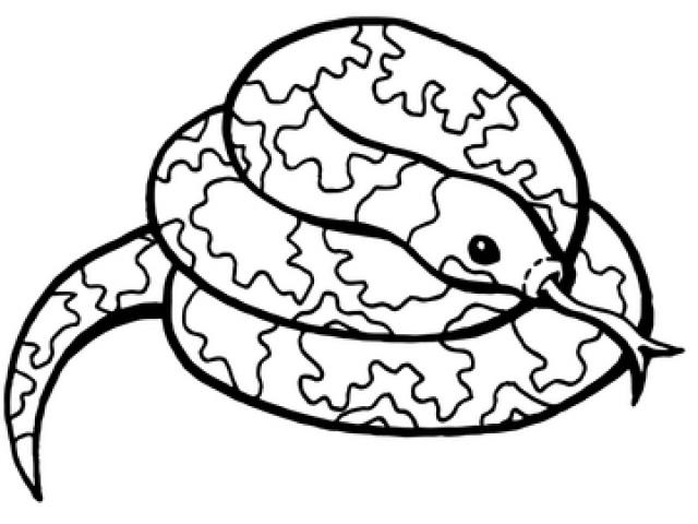 640x480 Garter Snake Clipart