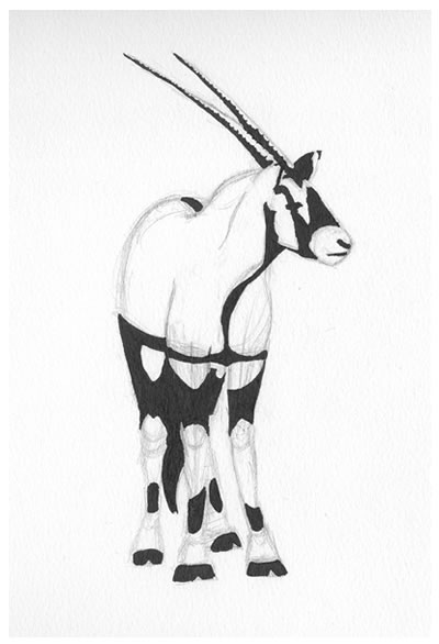 400x586 Gemsbok By Thaddev