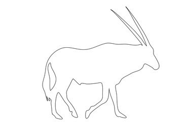 369x240 View On The Silhouette Of A Gemsbok