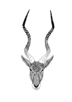 236x333 Drawing Animals