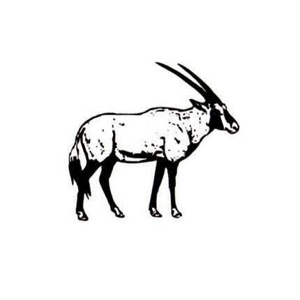 430x430 Gemsbok African Antelope Mounted Rubber Stamp, Animal, Safari