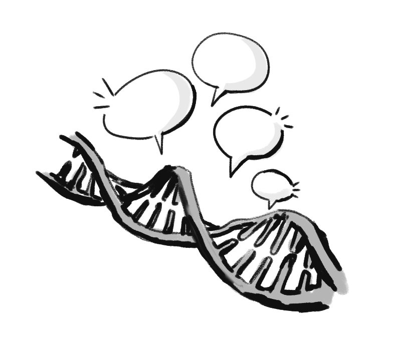 790x673 Researchers Discover A Gene Linked To Language