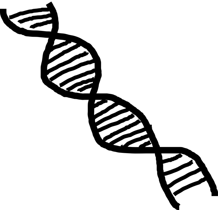 748x720 This Gene Could Play A Major Role In Progressive Supranuclear
