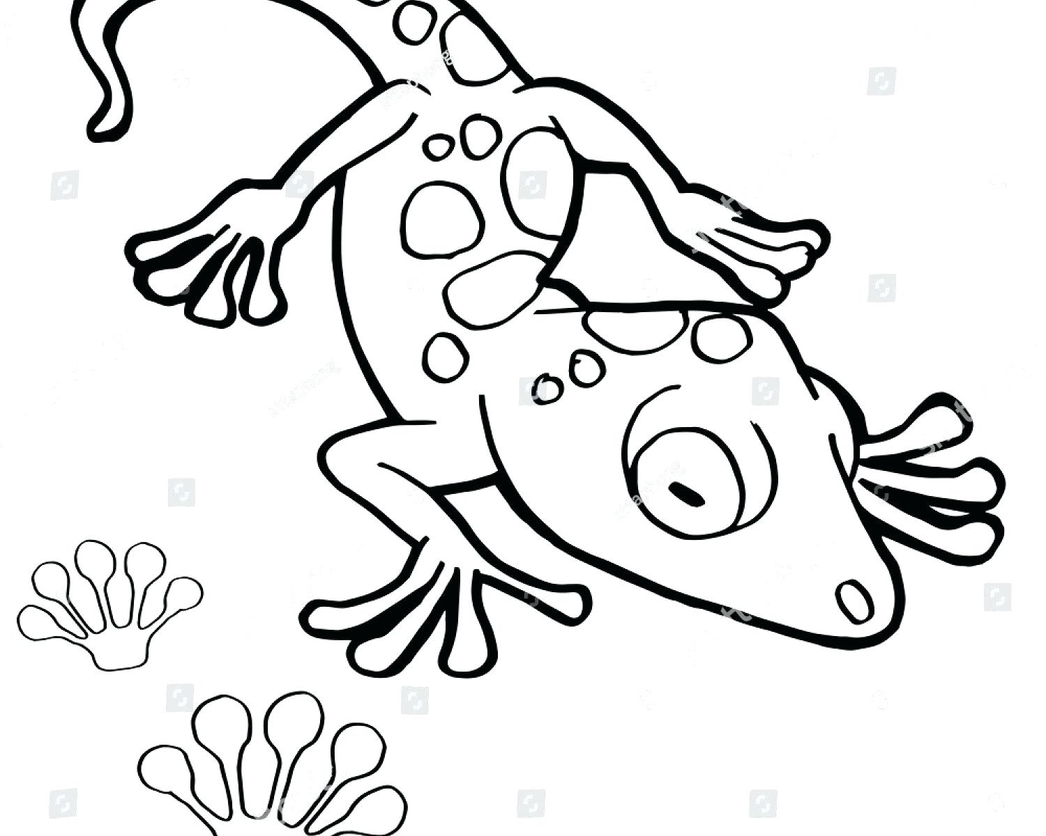 1500x1200 Coloring For Kids Gecko Page Lizard Pages Crested Free Printable