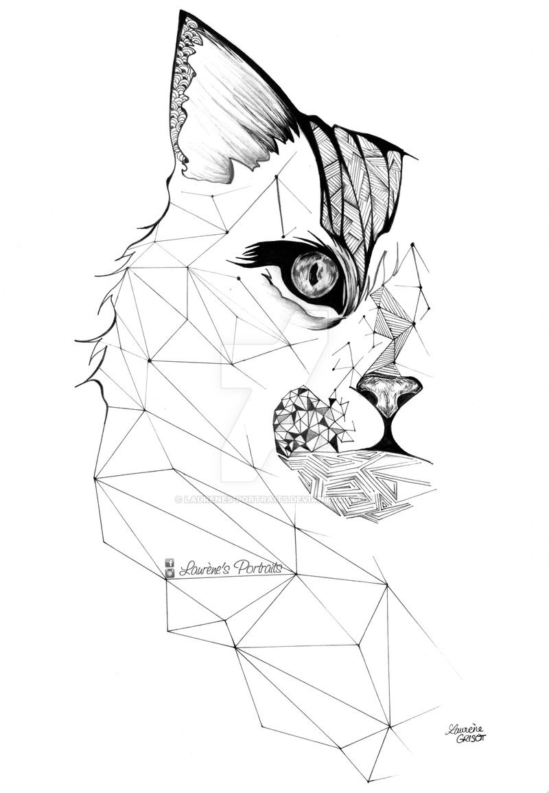 800x1155 Geometric Cat