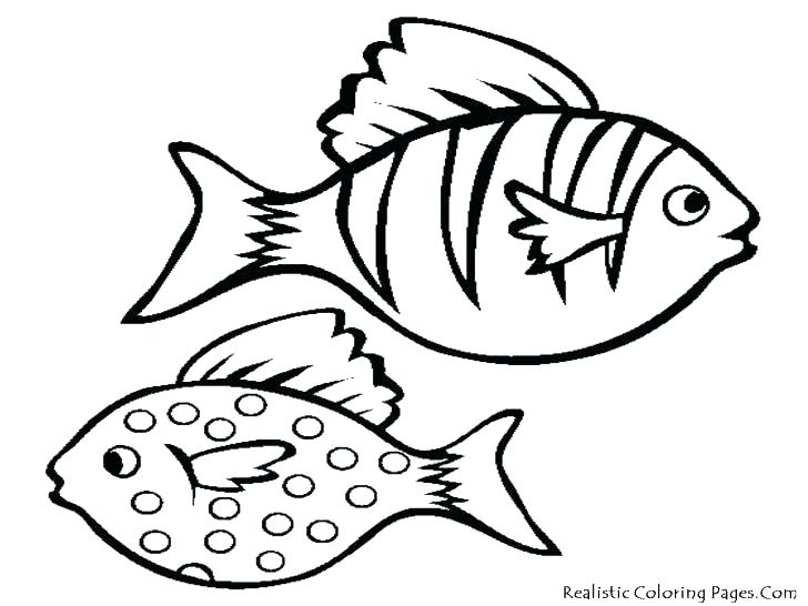 728x546 Realistic Fish Coloring Pages Realistic Fish Coloring Pages Fish