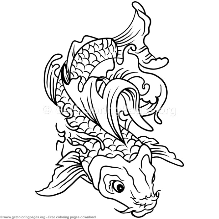 700x700 6 Koi Fish Coloring Pages