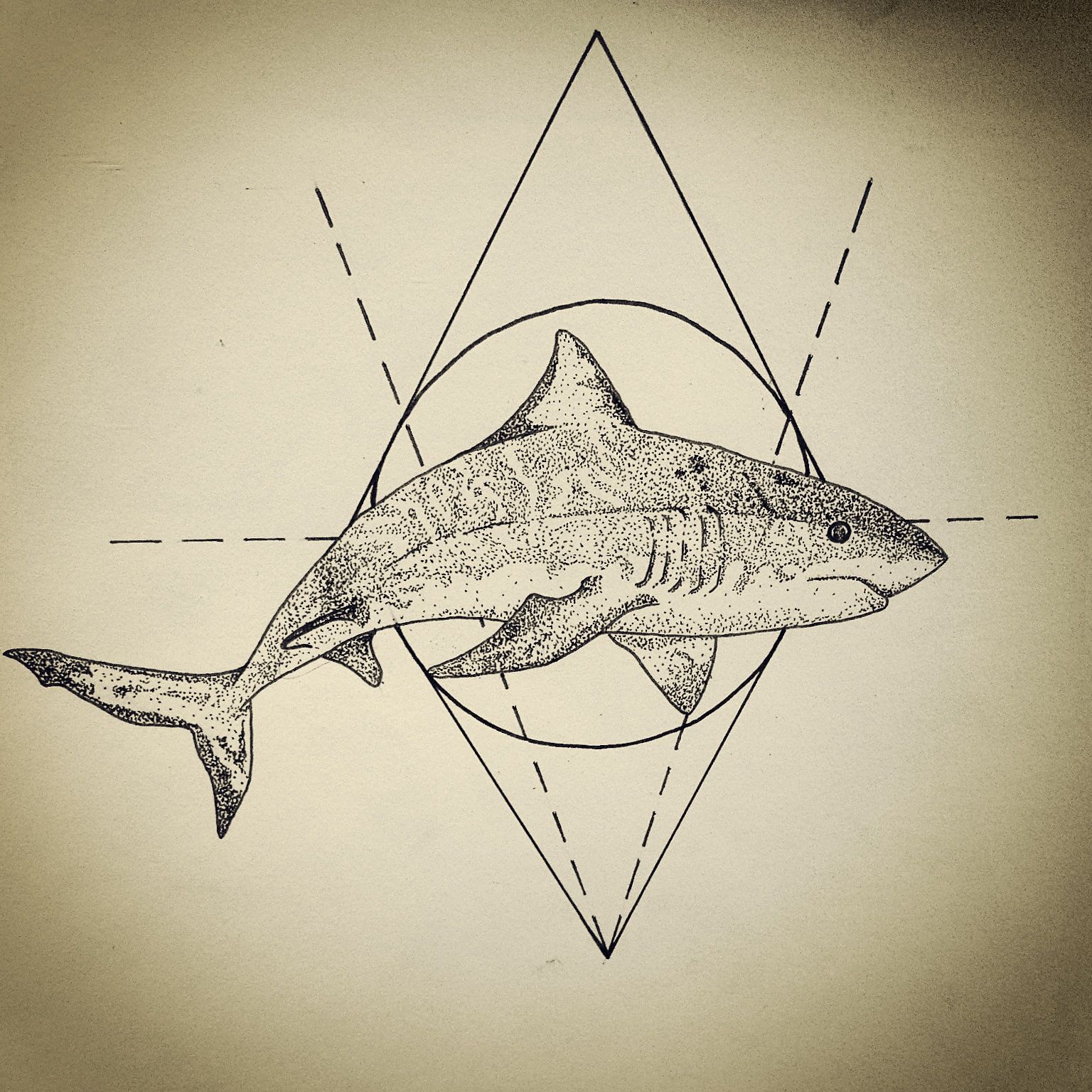 1536x1536 Ideas For Shark Tooth Art The Kraken's Paradise Beach House