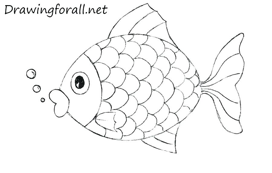 900x572 Black Outline Of A Fish Free Download Best Black Outline Of A Fish
