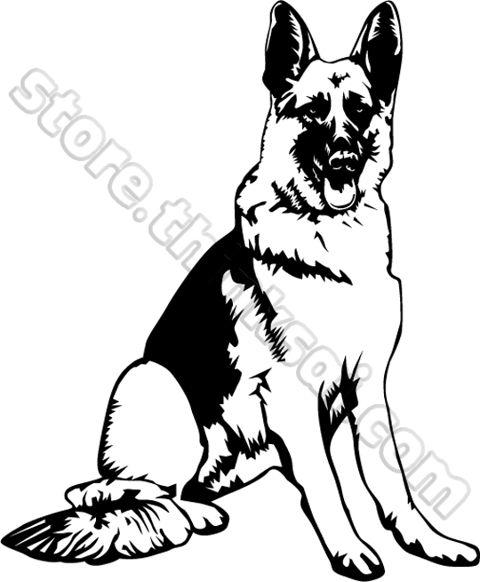 540x654 German Shepherd Clipart Face