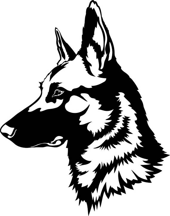 German Shepherd Easy Face Drawing at GetDrawings | Free download