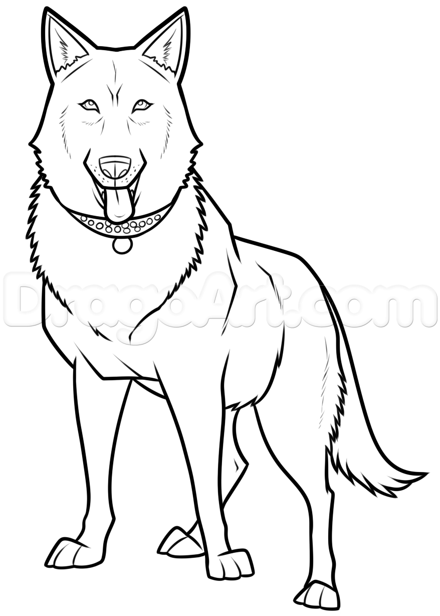 Black German Shepherd Face Coloring Coloring Pages