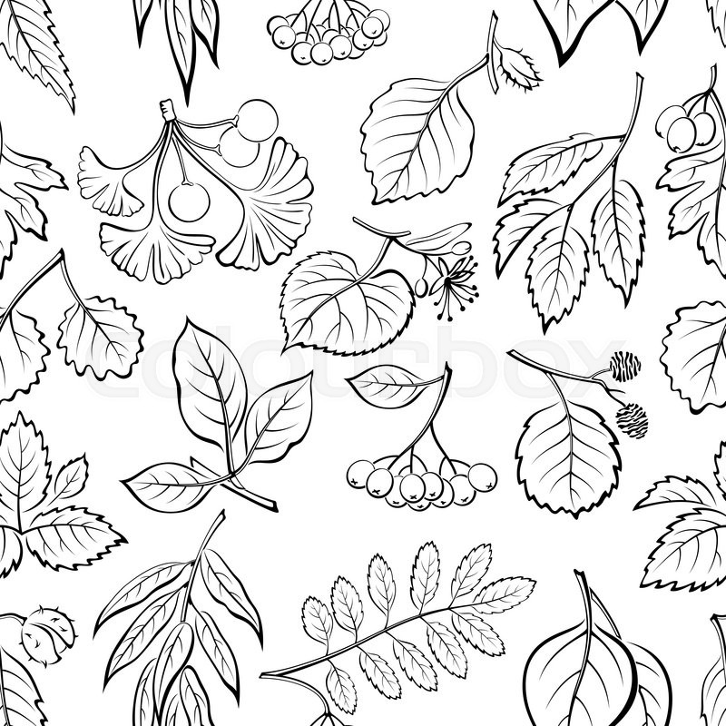 800x800 Seamless Nature Background With Pictogram Tree Leaves, Willow