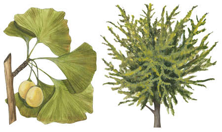 450x267 Stock Illustration