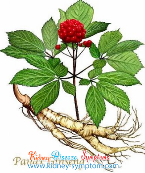 293x349 Is Ginseng Good For Iga Nephropathy