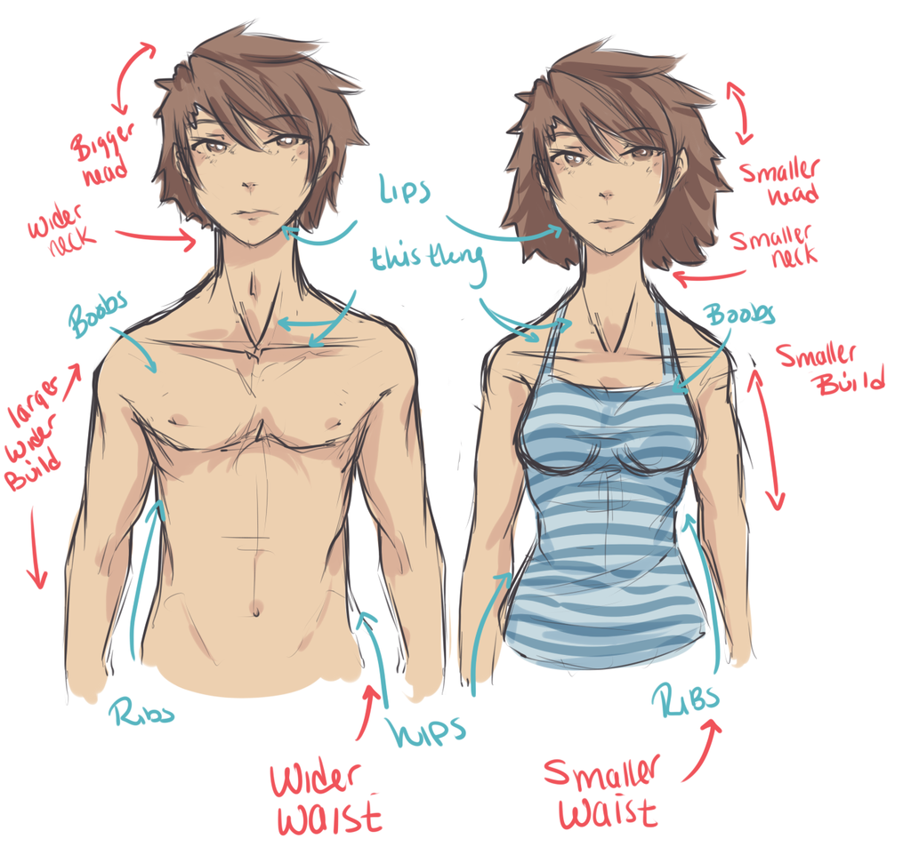 1024x962 Guys Vs. Girls (Helpful Hints For Drawing Each) By Reverrii