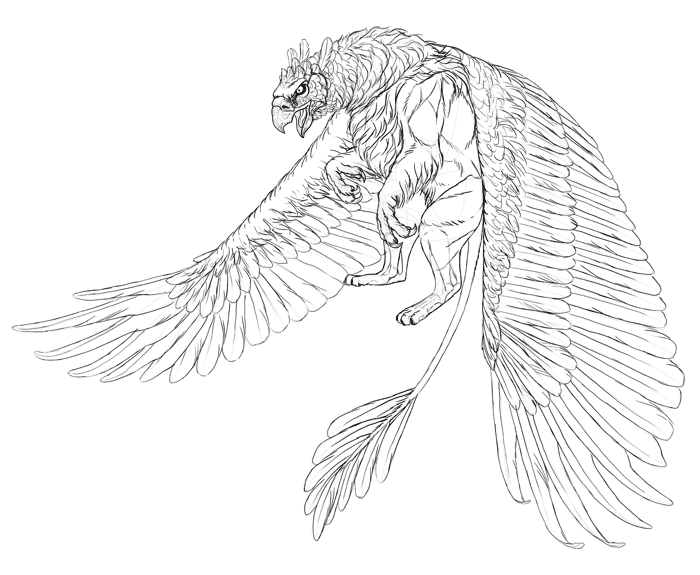 700x575 How To Draw A Griffin