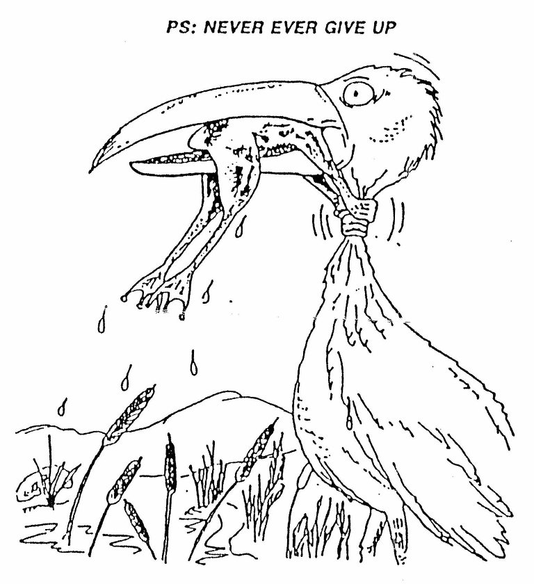 768x840 Never Give Up Anna Zeiter Photography