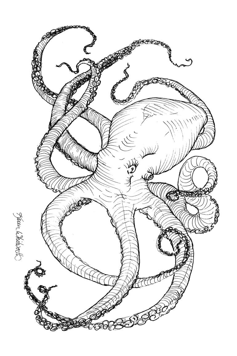 770x1154 Saatchi Art Come Let Me Give You A Hug Nautical Octopus Drawing