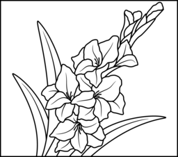 256x226 Collection Of Gladiolus Drawing Easy High Quality, Free