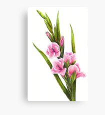 210x230 Gladiolus Drawing Canvas Prints Redbubble