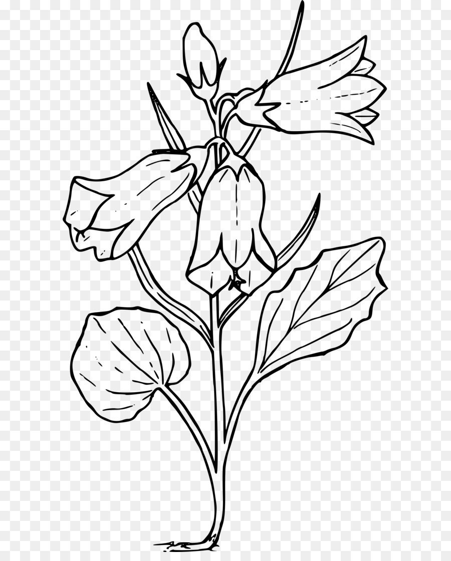 900x1120 Drawing Clip Art