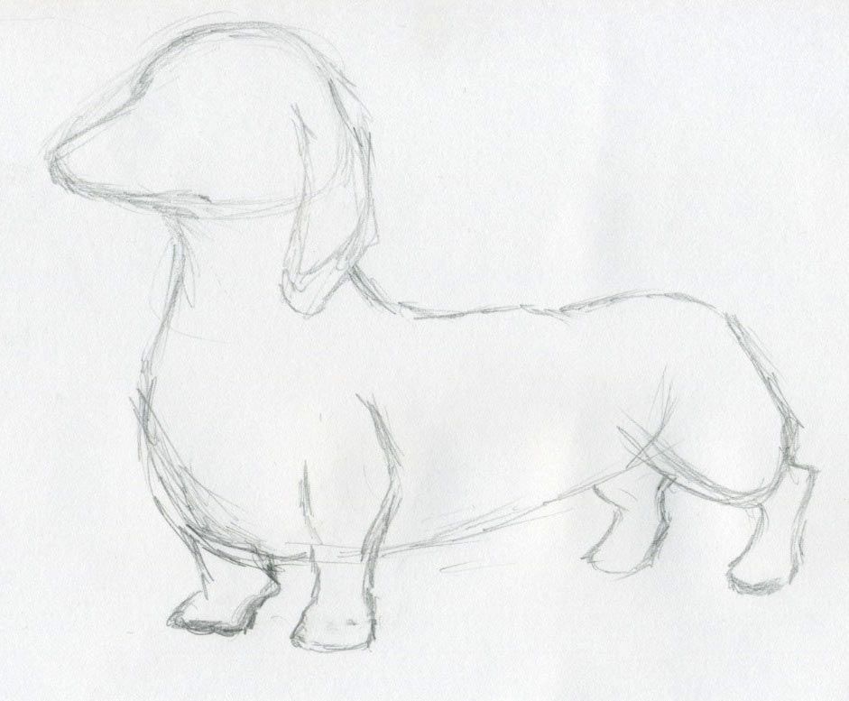 941x777 Dog Sketches How To Draw Animals Easy Sketches