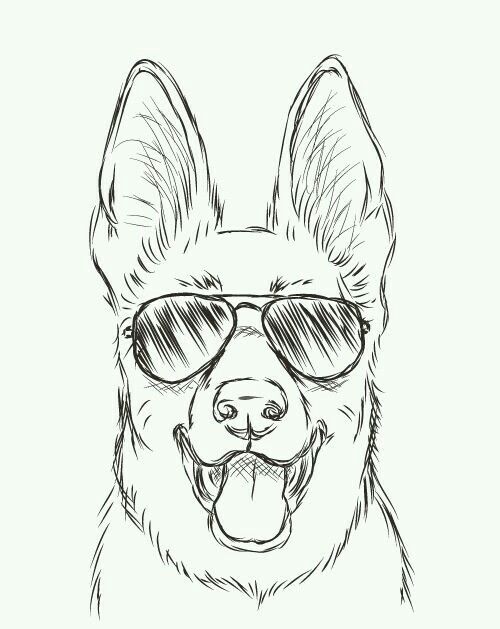 500x629 Hola Que Tal Nena Gt