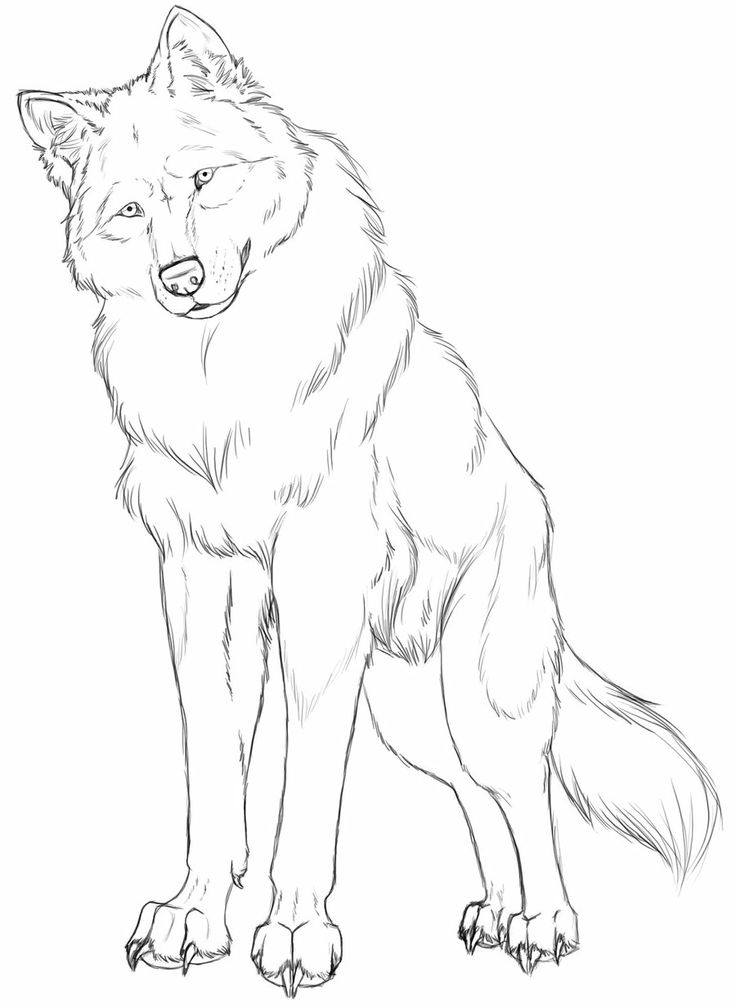 736x1008 387 Best Trucs Crayons Images On Drawing Ideas