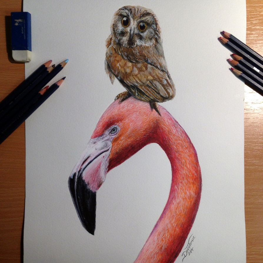 894x894 Best Friends Color Pencil Drawing By Atomiccircus