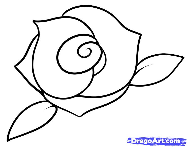 738x579 Rose Easy Drawing How To Draw A Rose Step Step Easy Google Search