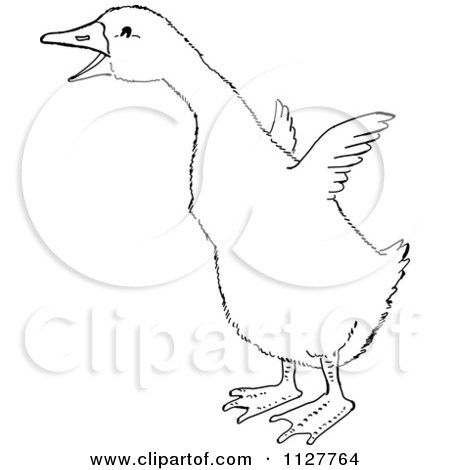 450x470 Image Result For Gosling Duck Drawing Embroidery And Crochet