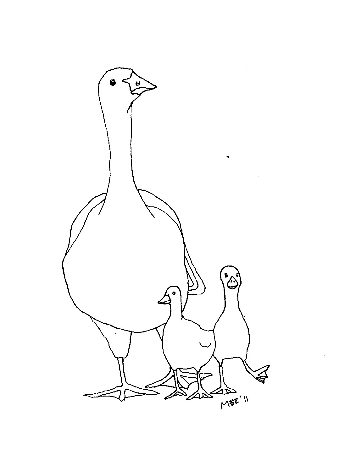 1097x1464 Black White Illustrations Mary Richmond's Cape Cod Art