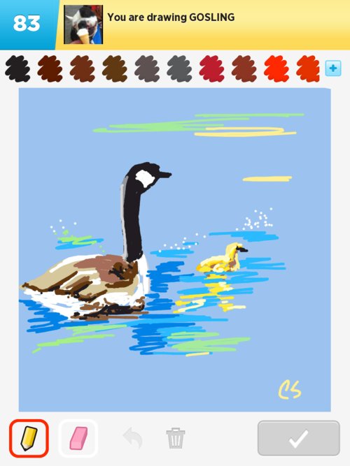 500x667 Gosling Drawings