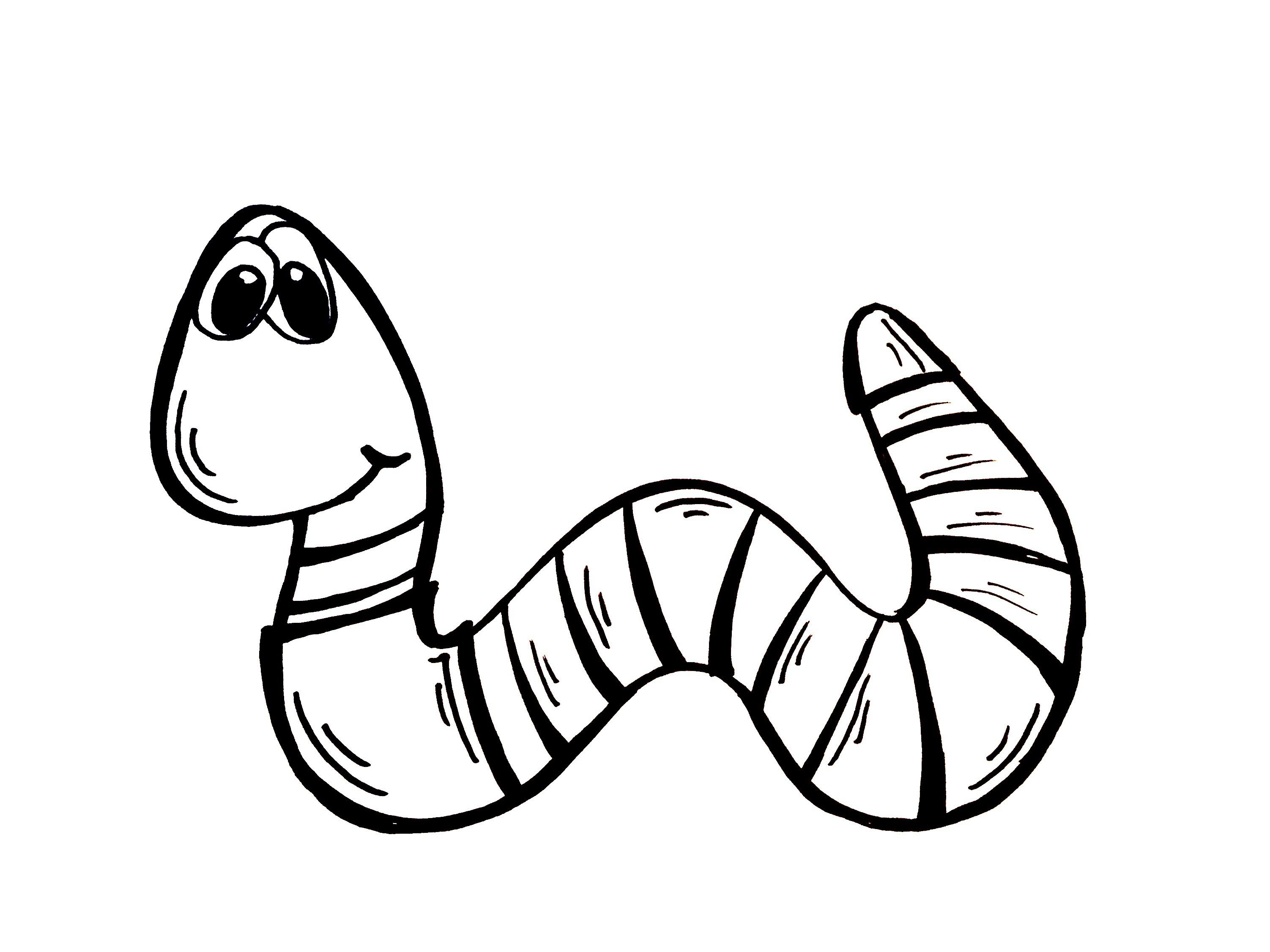 3004x2253 Drawing Lesson How To Draw A Worm. Grab Paper A Marker
