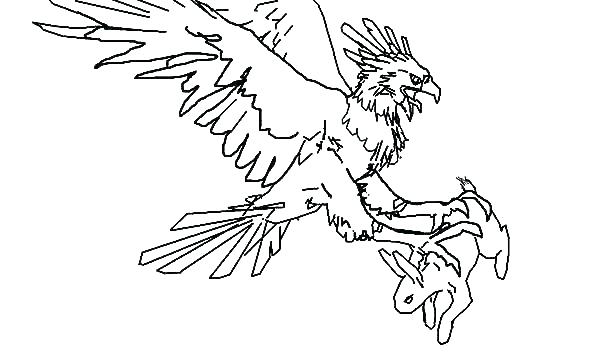 600x356 Eagle Coloring Sheet Harpy Page Grab A Bunny Pages American