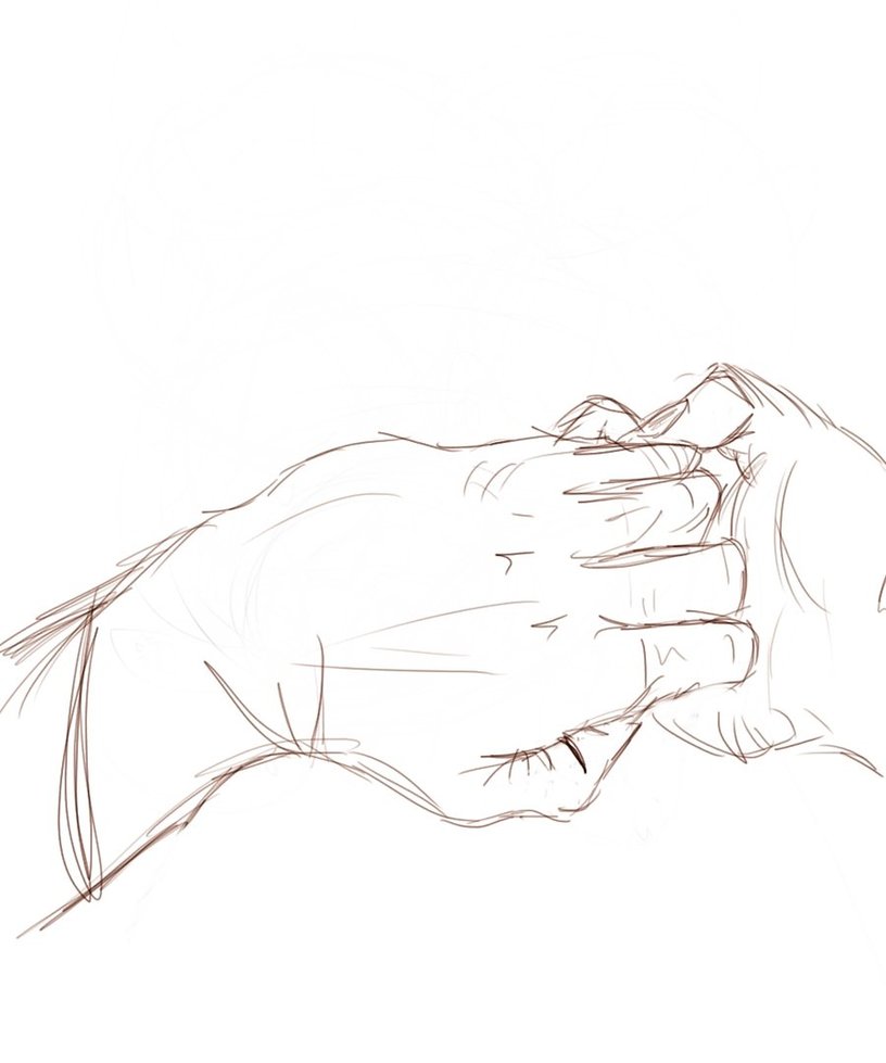 816x979 Grab My Hand By Flowertail8