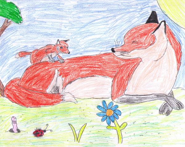 600x477 Pictures 4th Grade Drawing,