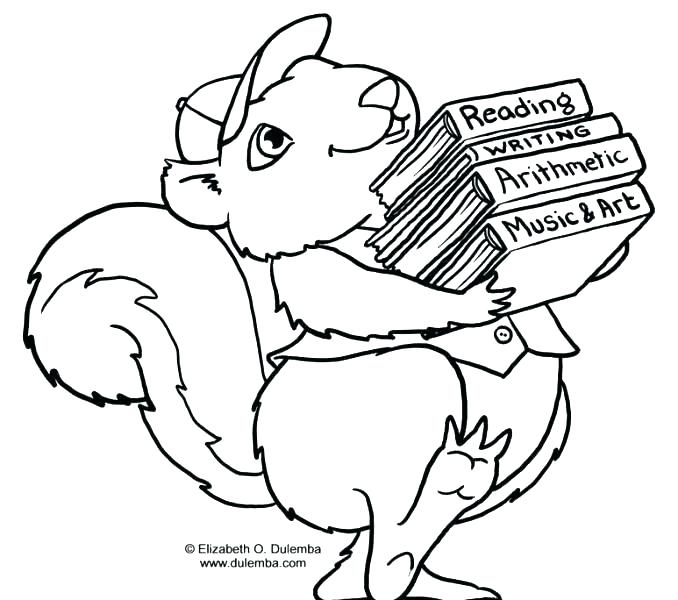 678x600 Squirrels Coloring Pages Squirrel Page Hibernation Free Grammar