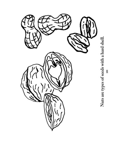 485x600 Biology Coloring Pages