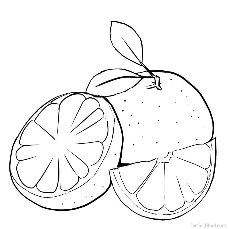 800x800 Grapefruit Coloring Pages Coloring Pages For Kids