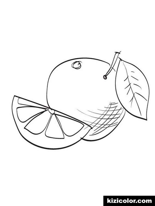 600x800 Grapefruit Fruits 2