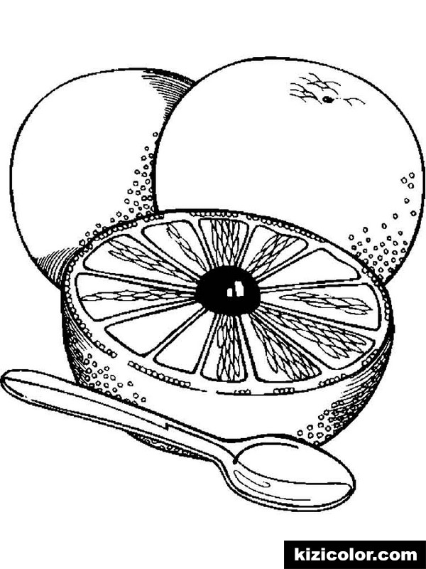 600x800 Grapefruit Fruits 3