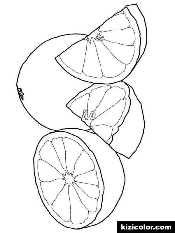 600x800 Grapefruit Fruits 4